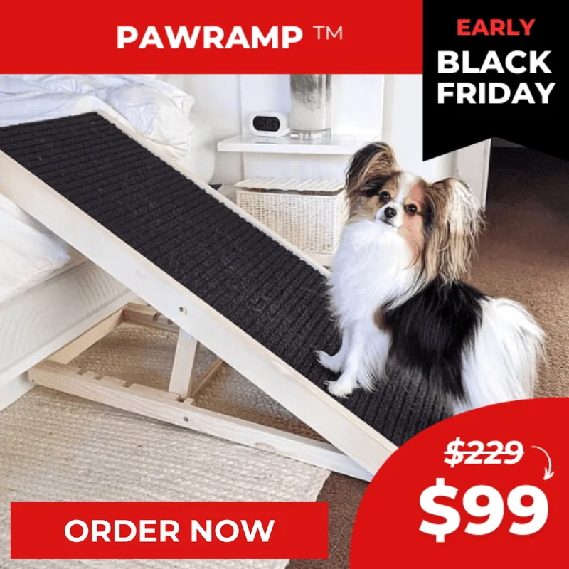 Black Friday Sale