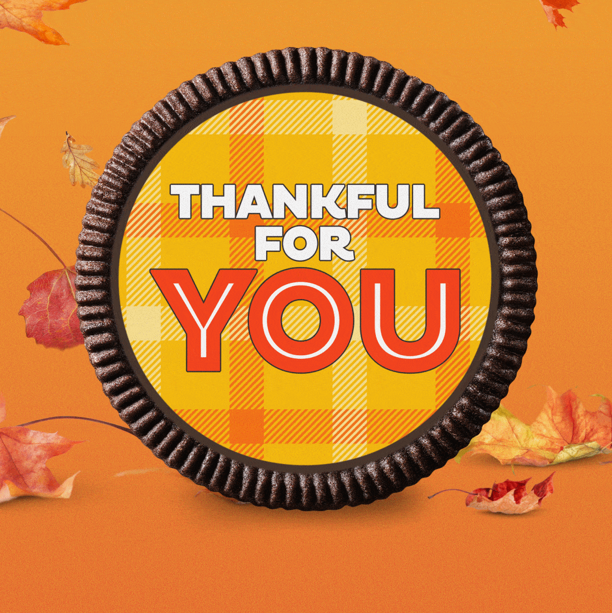 Thanksgiving Designs Thanksgiving Designs