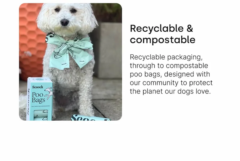 Recyclabe & compostable