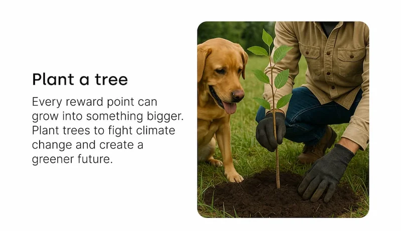 Plant a tree