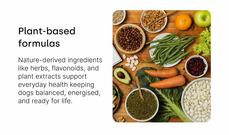 Plant based formulas