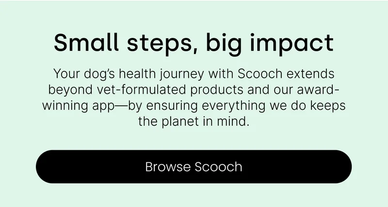 Browse Scooch