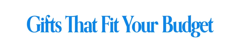 Gifts That Fit Your Bugest