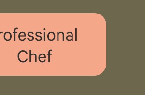 Professional Chef