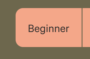 Beginner