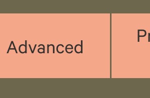 Advanced
