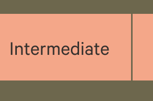 Intermediate