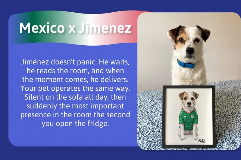 Mexico x Jimenez - Jiménez doesn't panic. He waits, he reads the room, and when the moment comes, he delivers. Your pet operates the same way. Silent on the sofa all day, then suddenly the most important presence in the room the second you open the fridge.