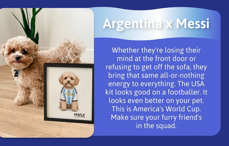 Argentina x Messi - Messi doesn't need to shout. Neither does your pet. Quietly confident, endlessly loyal, greatness that needs no announcement. Argentina's is the most iconic kit in football. Your pet was born to wear it.
