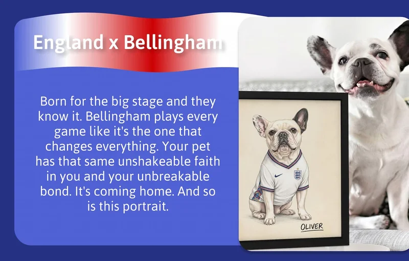 England x Bellingham - Born for the big stage and they know it. Bellingham plays every game like it's the one that changes everything. Your pet has that same unshakeable faith in you and your unbreakable bond. It's coming home. And so is this portrait.