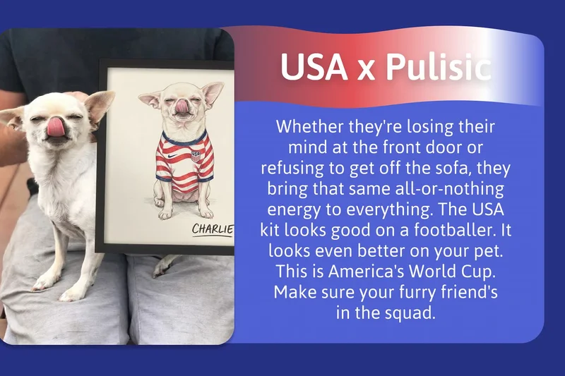 USA x Pulisic - Whether they're losing their mind at the front door or refusing to get off the sofa, they bring that same all-or-nothing energy to everything. The USA kit looks good on a footballer. It looks even better on your pet. This is America's World Cup. Make sure your furry friend's in the squad.