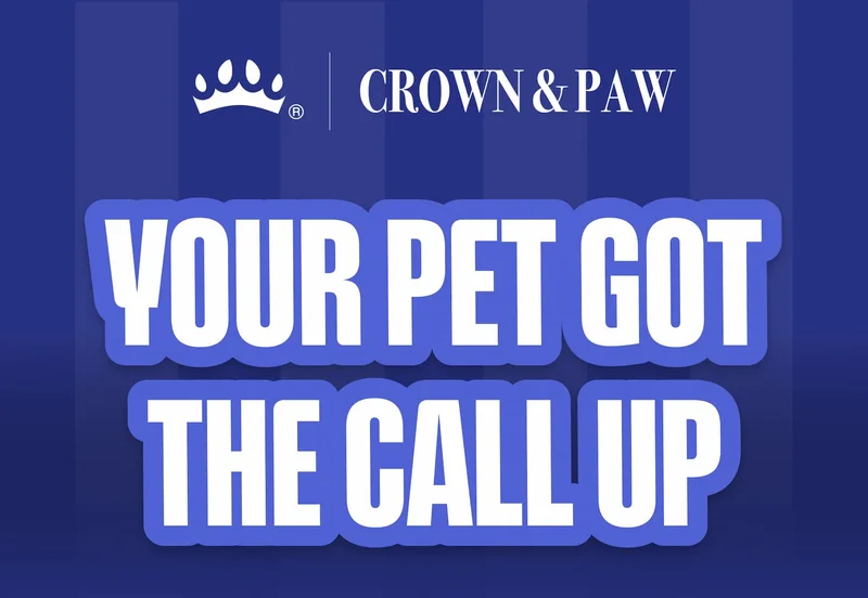 Your pet got the call up