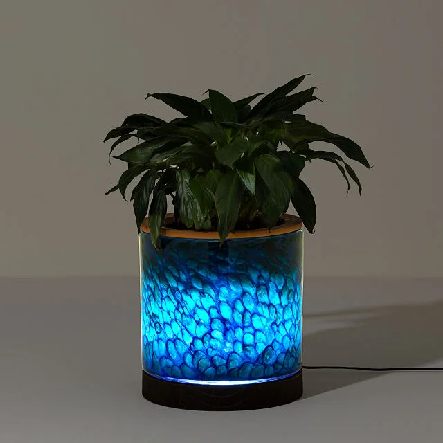 Self-Watering Lamp Planter