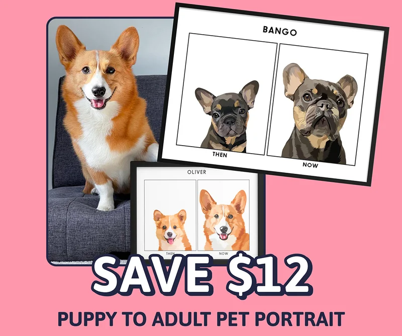 Puppy to Adult Pet Portrait. SAVE $12