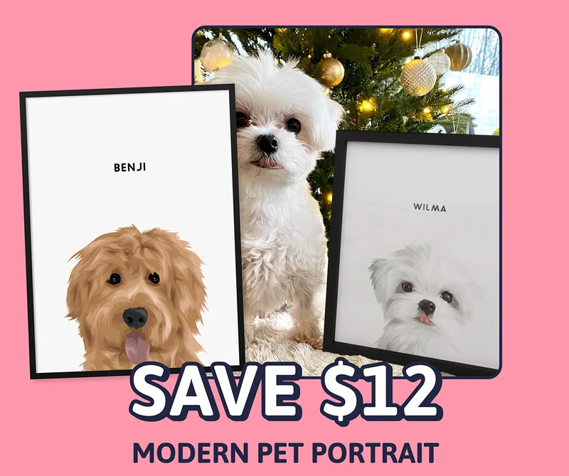 Modern Pet Portrait. SAVE $12
