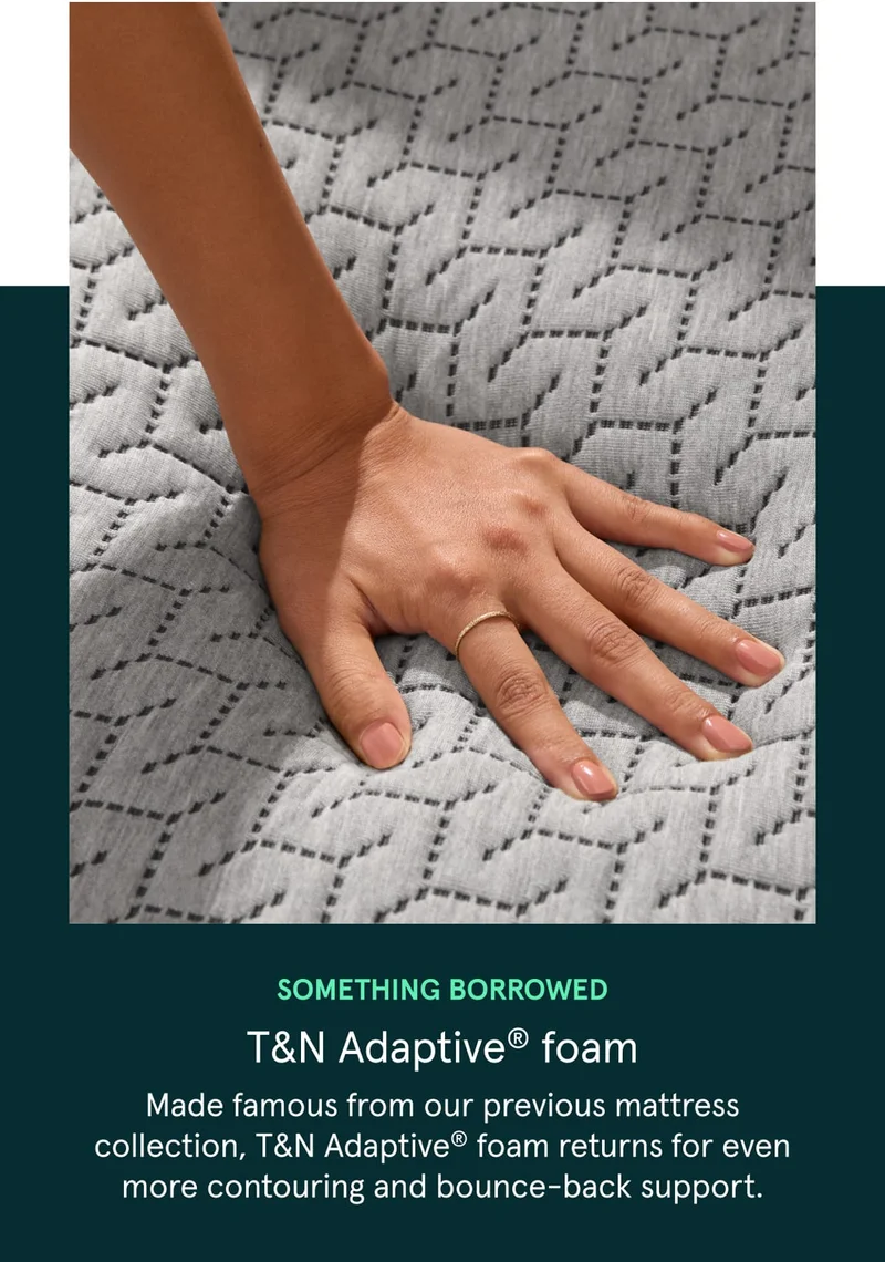 Something Borrowed | T&N Adaptive Foam
