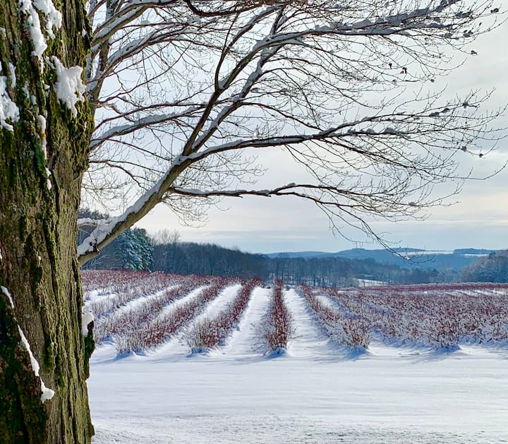 Farm stay in Cattaraugus