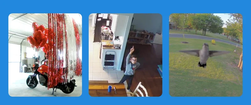 Caught on Arlo
