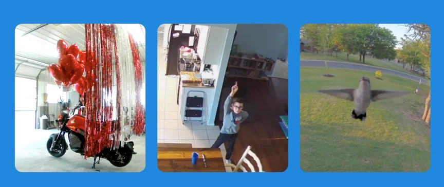 Caught on Arlo