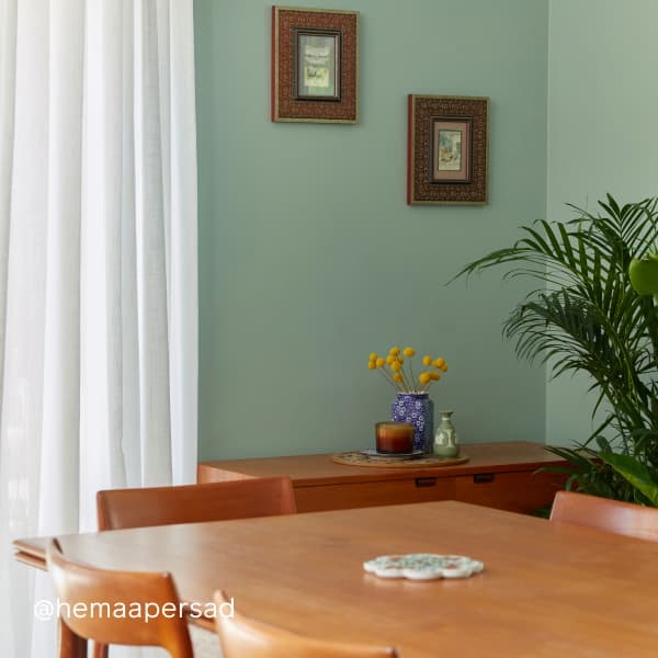 Dining room featuring blue-green paint Views