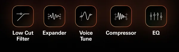 Low Cut Filter, Expander, Voice Tune, Compressor, EQ
