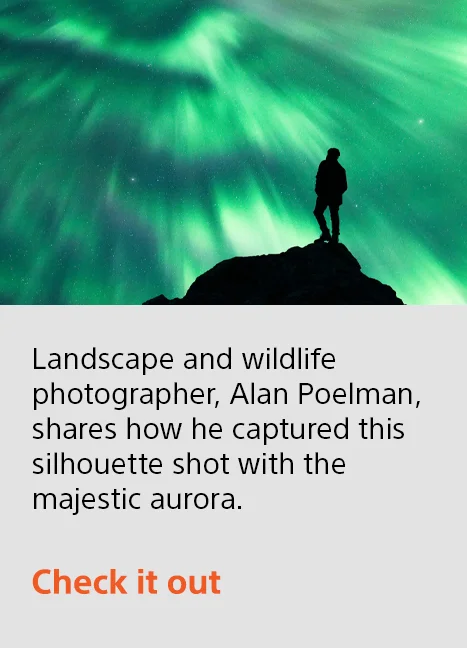 Landscape and wildlife photographer, Alan Poelman, shares how he captured this silhouette shot with the majestic aurora. | Check it out
