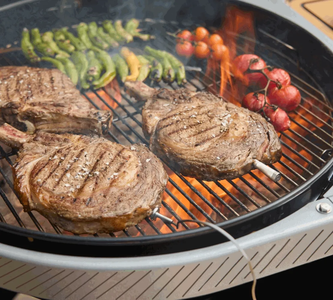 Performer Charcoal Grills