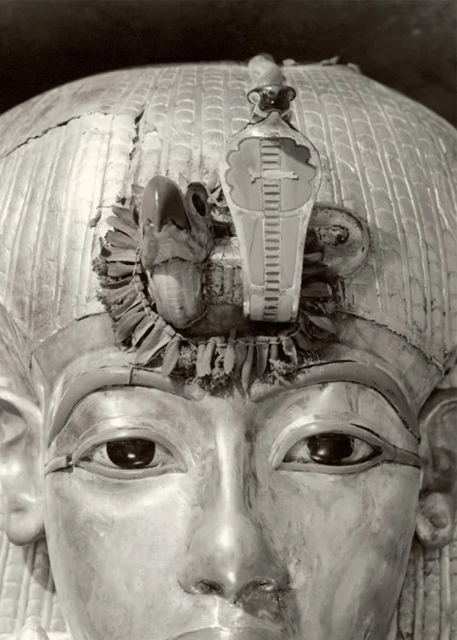 Staring from the lid of Tut’s outermost coffin, the king’s golden effigy looks eerily alive thanks to eyes of calcite and obsidian. A garland of flowers and olive leaves still adorned the vulture and cobra insignia more than 3,000 years after the young pharaoh was laid to rest.