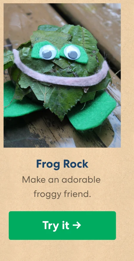 Frog Rock
