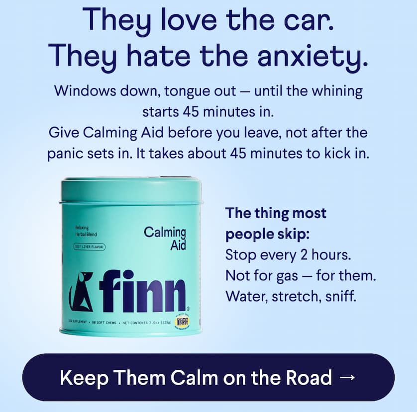 Text: They love the car. They hate the anxiety. Windows down, tongue out — until the whining starts 45 minutes in. Give Calming Aid before you leave, not after the panic sets in. It takes about 45 minutes to kick in.  The thing most people skip:  Stop every 2 hours. Not for gas — for them. Water, stretch, sniff. CTA: Keep Them Calm on the Road →