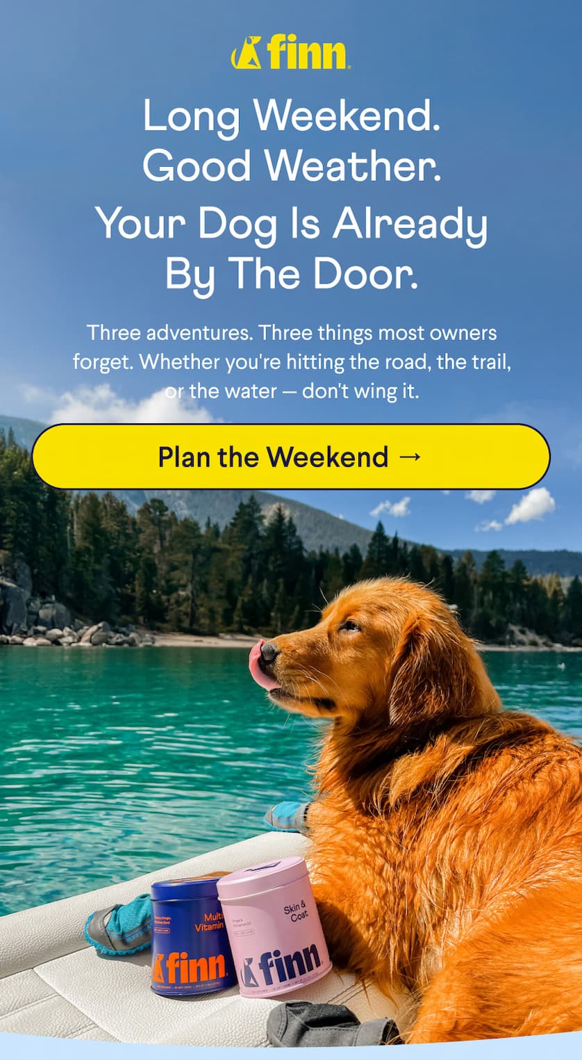 Finn Logo. Text: Long weekend. Good weather. Your dog is already by the door. Three adventures. Three things most owners forget. Whether you're hitting the road, the trail, or the water — don't wing it.  CTA: Plan the Weekend →