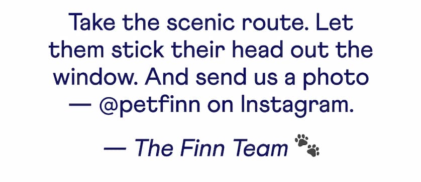 Text: Take the scenic route. Let them stick their head out the window. And send us a photo — @petfinn on Instagram.  — The Finn Team 🐾