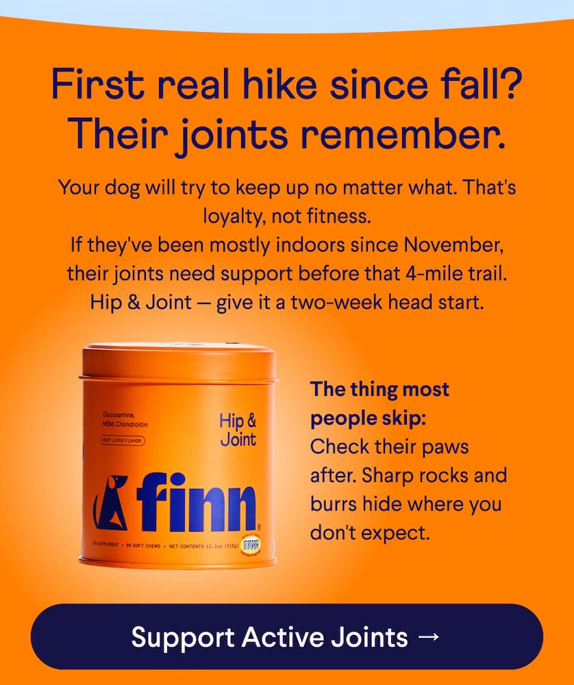 Text: First real hike since fall? Their joints remember. Your dog will try to keep up no matter what. That's loyalty, not fitness. If they've been mostly indoors since November, their joints need support before that 4-mile trail. Hip & Joint — give it a two-week head start.  The thing most people skip:  Check their paws after. Sharp rocks and burrs hide where you don't expect.  CTA: Support Active Joints →