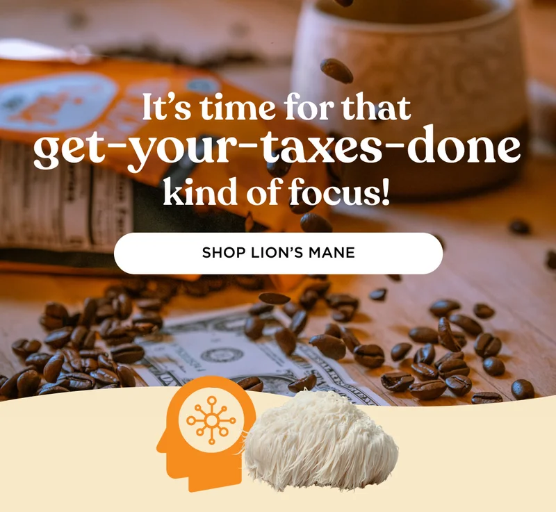 It's time for that get-your-taxes-done kind of focus!  - SHOP LION'S MANE