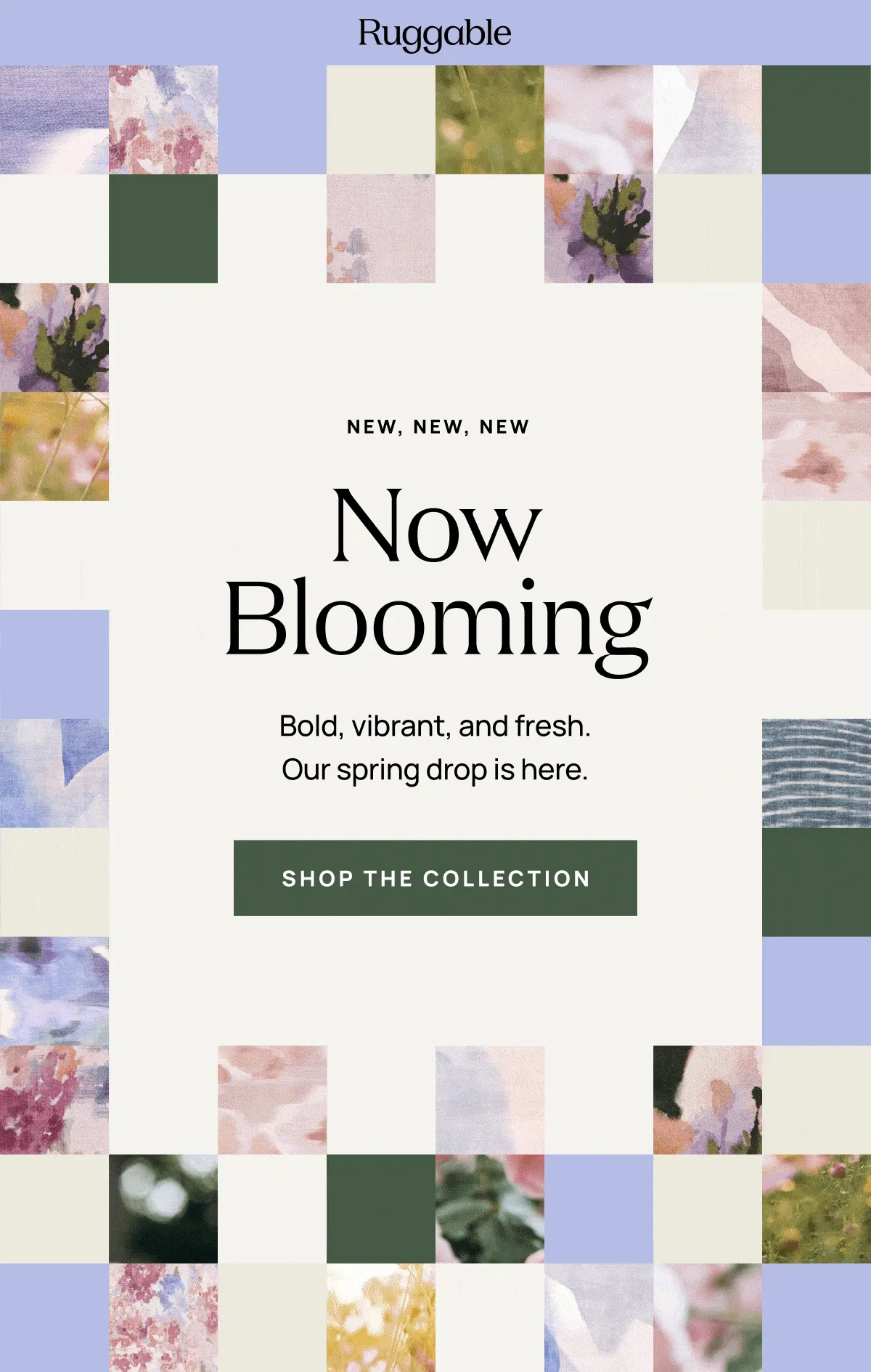 Shop Spring