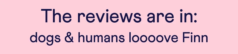 The reviews are in: dogs & humans loooove Finn