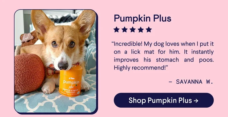 Pumpkin Plus Review: “Incredible! My dog loves when I put it on a lick mat for him. It instantly improves his stomach and poos. Highly recommend!” –&nbsp;Savanna W.