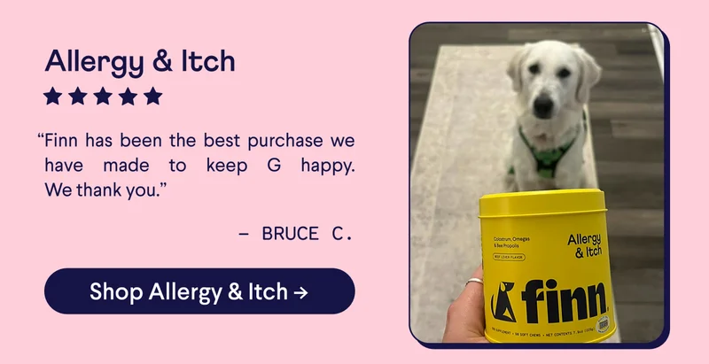 Allergy & Itch review: “Finn has been the best purchase we have made to keep G happy. We thank you.” Bruce C.