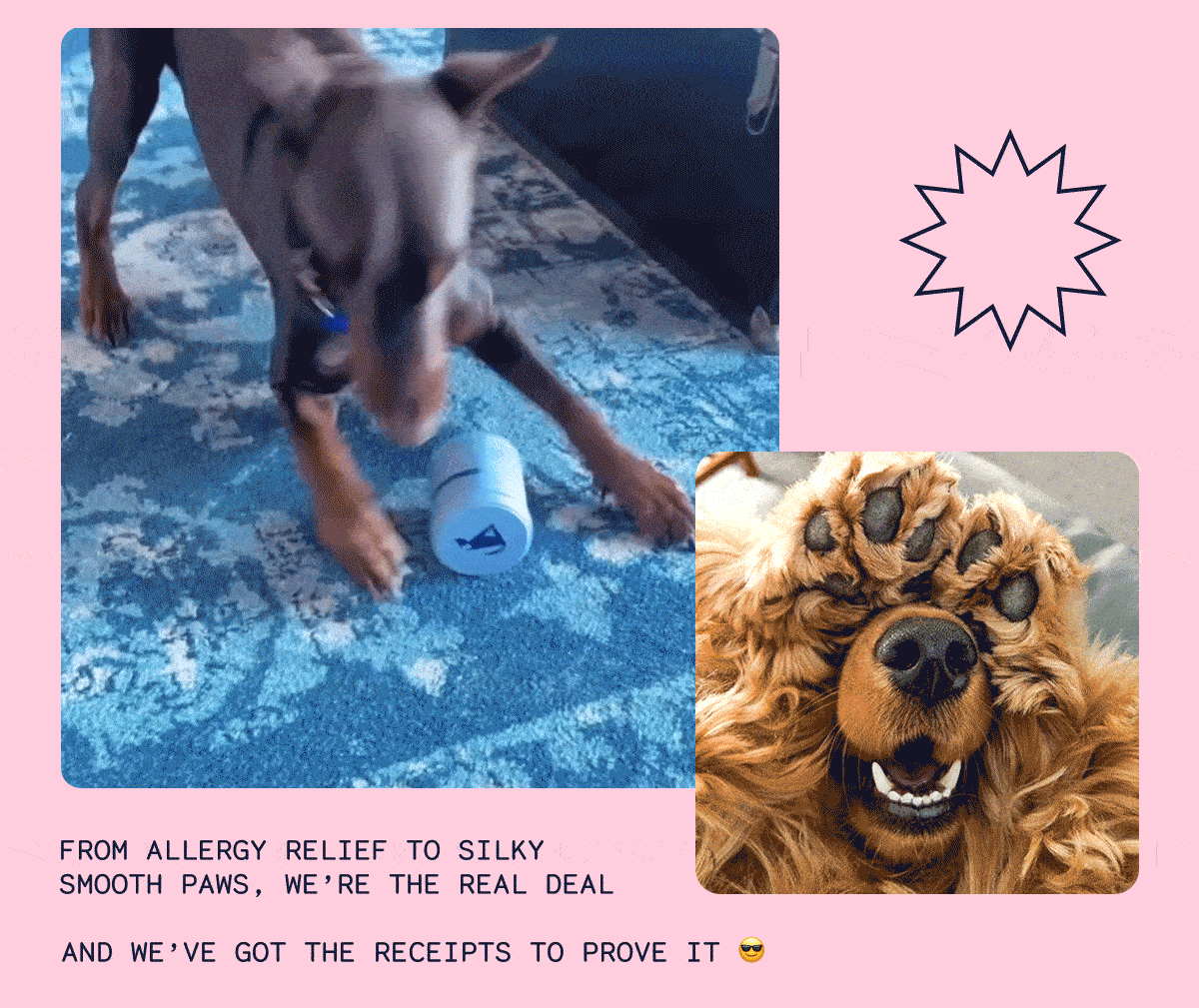 From allergy relief to silky smooth paws, were the real deal. And we've got the receipts to prove it.