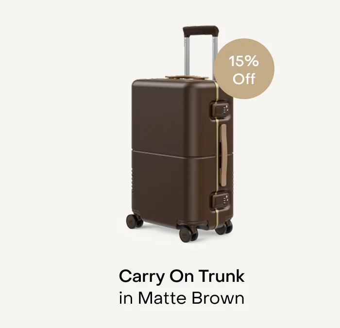 Carry On Trunk in Matte Brown