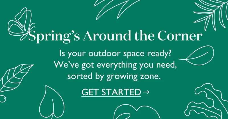 Spring's around the corner - is your outdoor space ready? We've got everything you need, sorted by growing zones.