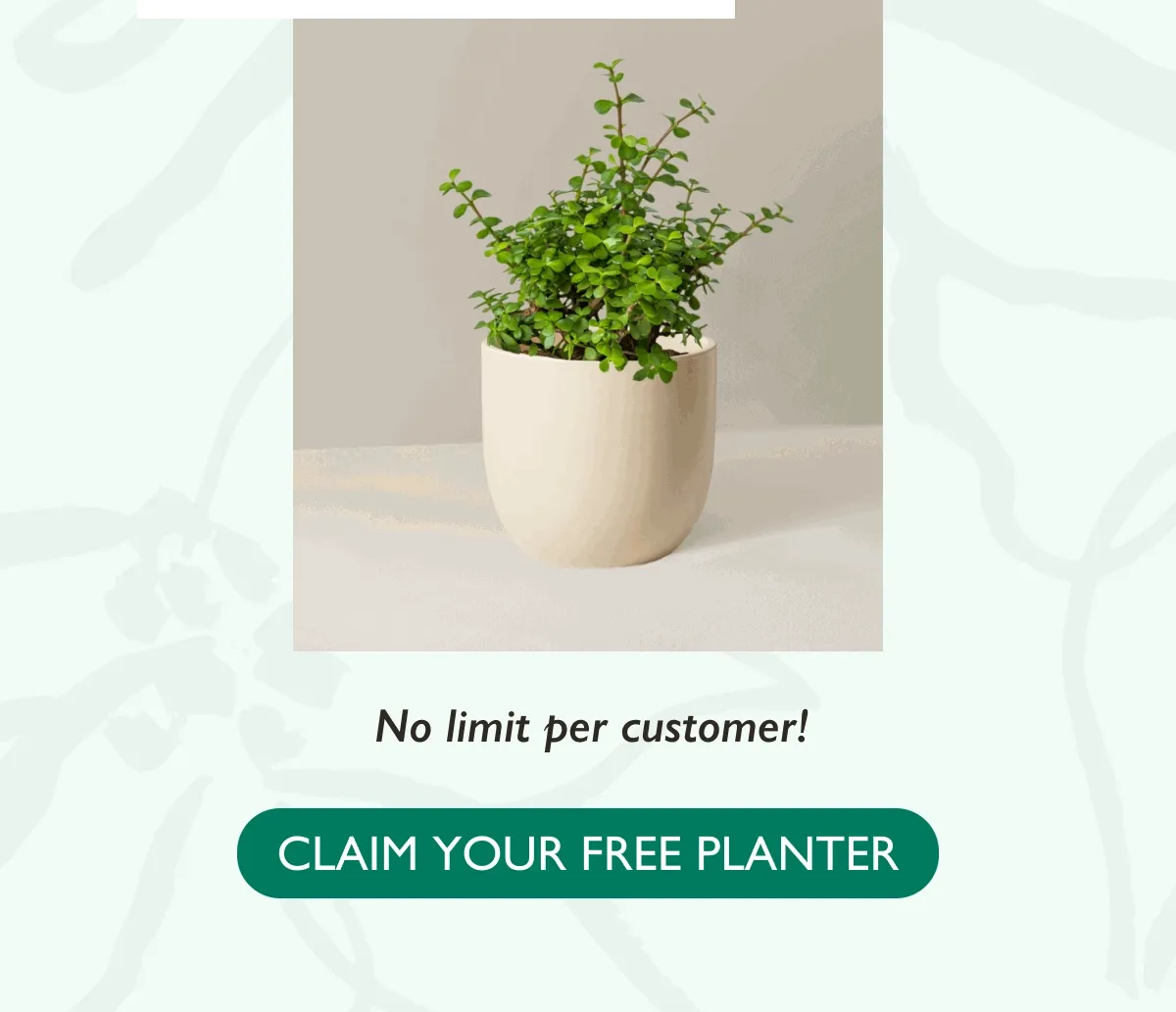 Choose between our Grant or Hyde ceramic planters! No limited per customer. Claim your free planter today.