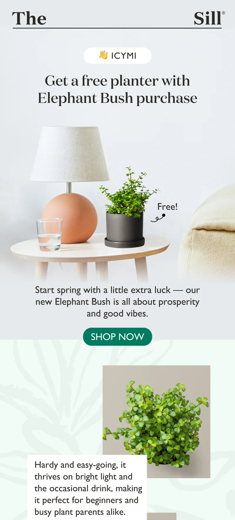 ICYMI - Get a FREE plant with Elephant Bush purchase! Start spring with a little extra luck, our new Elephant Bush is all about prosperity and good vibes. Show now.