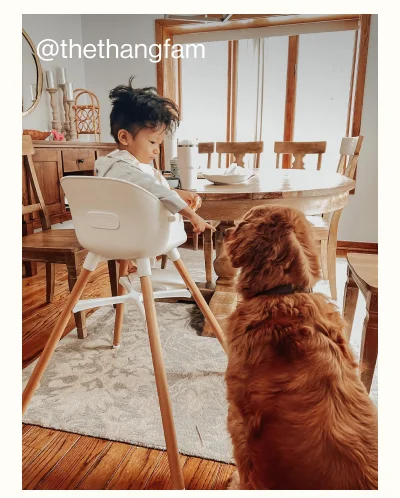 The Chair. @thethangfam
