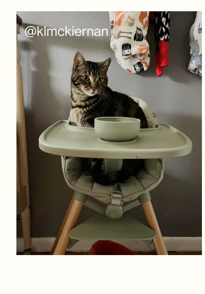 The Chair. @klmckiernan