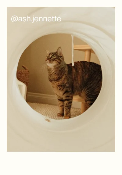 The Play Tunnel. @ash.jennette