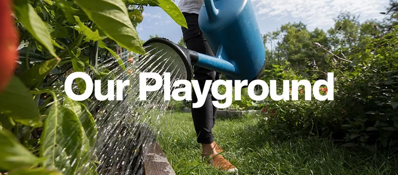 OUR PLAYGROUND