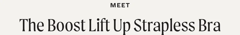 The Boost Lift Up Strapless Bra