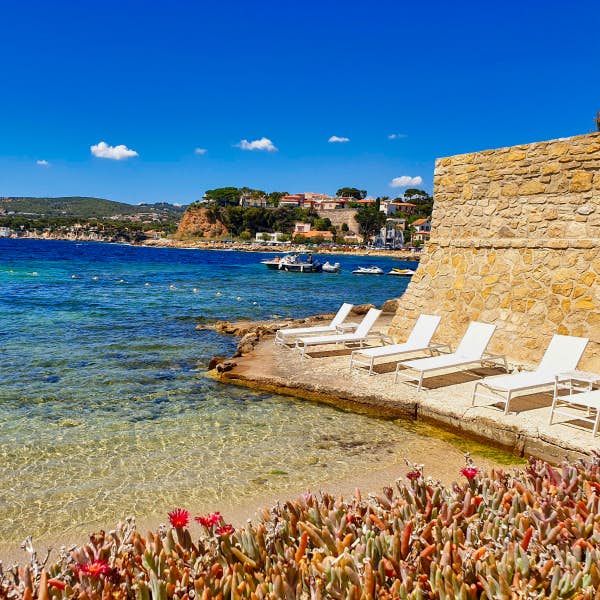 A row of lounge chairs sits next to a beach and blue ocean