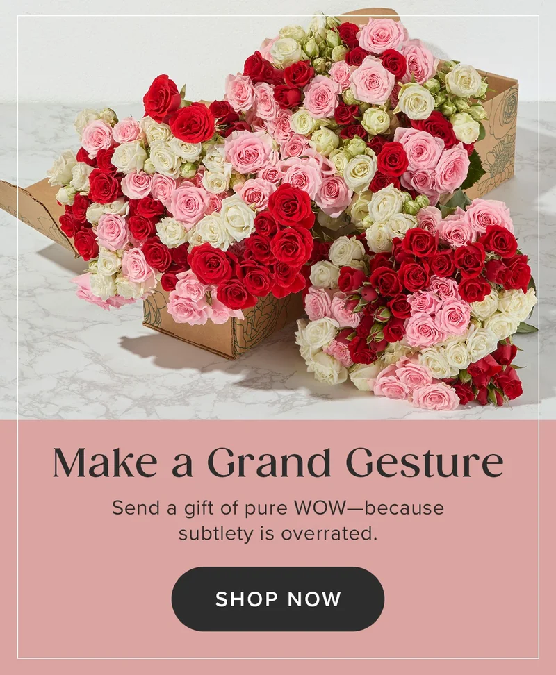 Make a Grand Gesture. Send a gift of pure WOW -- because subtlety is overrated. Shop Now.
